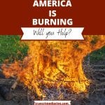 white letters, red background, America is Burning, fire, white letters, Will you Help?
