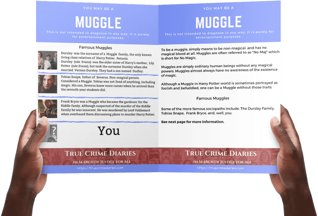 blue header, white text, Muggle