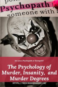 Psychology of Murder Pin